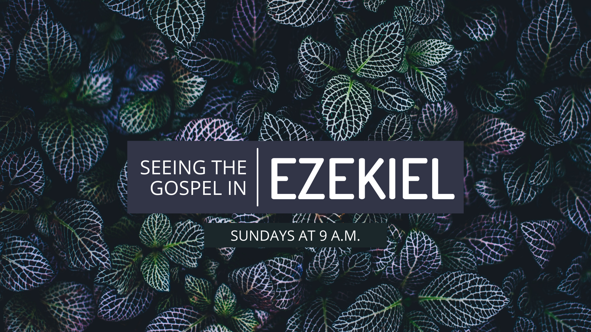 Ezekiel Sunday School at Hope Church in Ballston Spa, New York